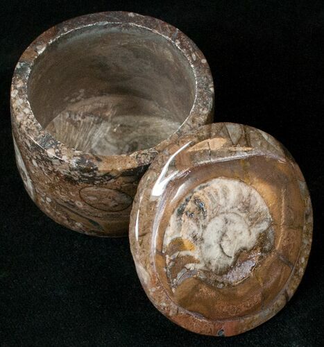 Small Fossil Goniatite Jar (Brown) - Stoneware #18015